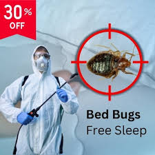 Commercial Pest Management